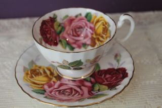 Stunning Aynsley Tea Cup And Saucer - Huge Red Pink And Yellow Cabbage Roses