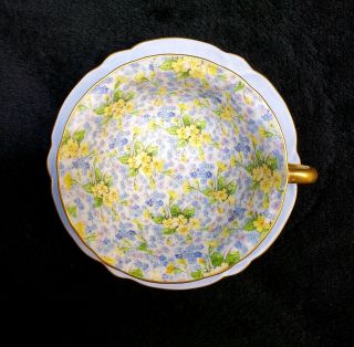 Shelley Bone China England Chintz Oleander Tea Cup And Saucer Blue 2