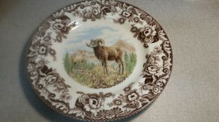 Spode Woodland Set Of 6 Big Horn Sheep Dinner Plates