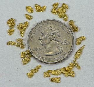 California Gold Nuggets 3 Grams of 10 - 12 Mesh Gold Authentic Natural American R 2