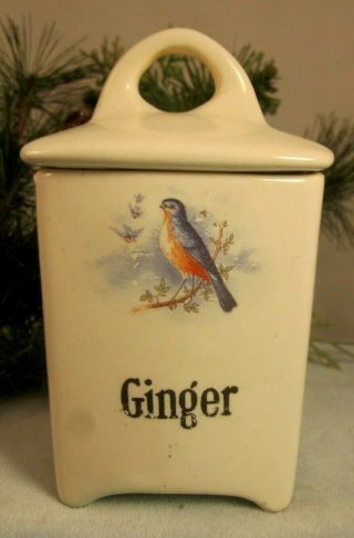 Antique 1800s Ginger Spice Jar Bluebird Hull Ironstone Storage Container Set