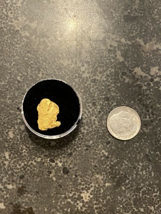 3.  24 Grams Gold Nugget From Alaska? 7/1