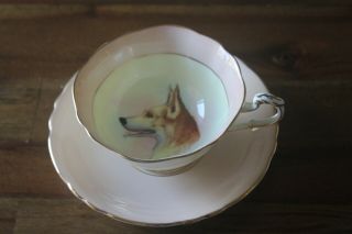 Rare Paragon Dog German Shepherd Huskey Teacup Tea Cup Saucer Signed R Johnson
