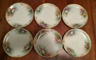 Set Of 6 Jp Limoges France Hand Painted Sea Shell Ocean Plates 7 3/4 "