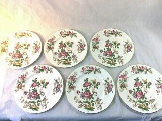 Wedgwood Charnwood Set 6 Dinner Plates 10.  75 " Blk Stamp 3984 Butterfly Bee Insect