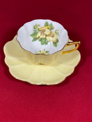 Vintage Shelley Atholl Teacup And Saucer Bright Yellow Large Hibiscus