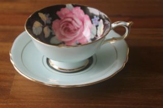 Paragon Black Cabbage pink Rose Green Teacup Tea cup Saucer 2