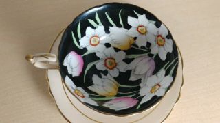1940 ' s Paragon Black Tulip Daffodil Peach Teacup Tea Cup Saucer Double Warrant 2 3