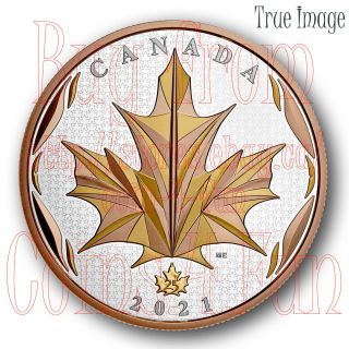 2021 Maple Leaf In Motion $50 Pure Silver Yellow&rose Gold Plated Coin Canada