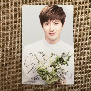 Exo Suho [ Nature Republic Official Limited Photocard ] Ver B Exo - K / /,  G
