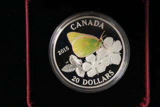 2015 Canada.  20 Dollars.  
