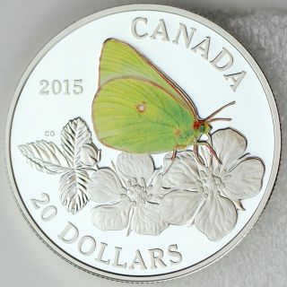 2015 $20 Butterflies Of Canada: Giant Sulphur 1 Oz.  Pure Silver Color Proof