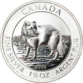 [ 892969] Coin,  Canada,  Arctic Fox,  8 Dollars,  2014,  1 - 1/2 Oz,  Ms (65 - 70),  Silver