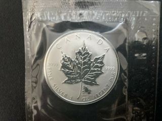 2004 Canada $5 1oz Capricorn Privy Mark Silver Maple Leaf Coin Zodiac Series