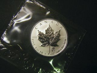 2004 Canada $5 1oz Aquarius Privy Mark Silver Maple Leaf coin Zodiac series 2
