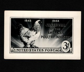 Opc Sc 968 Poultry Industry Photo Essay 41076