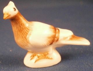 Meissen Porcelain Miniature Pigeon Bird Figure Figurine Porzellan Taube Figur 3