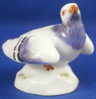 Meissen Porcelain Miniature Pigeon Bird Figure Figurine Porzellan Taube Figur 5