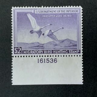 Us Duck Stamp Scott Rw17 1950 Vf Og Mnh - Trumpeter Swans In Flight [50d]