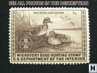 Noblespirit (th2) Us Rw6 Nh = $250 Cv Duck Stamp