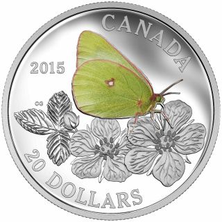 2015 $20 Fine Silver Coin Butterflies Of Canada - Giant Sulphur