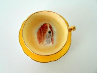 Antique Paragon Coffee Cup& Saucer Basset Dog Portrait Signed R.  Johnson