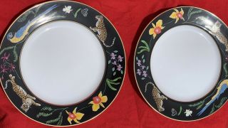 Lynn Chase Jaguar Jungle Dinner Plates (set Of Two) 24k Gold Decorated 8 1/2 "