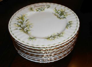 Complete Set Of 12 Royal Albert Flower Of The Month Salad Plates