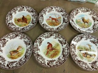 Spode Woodland Set Of 6 Dinner Plates Inc Bhs And Rf