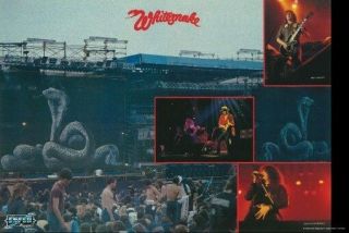 Whitesnake Poster Live On Stage Collage Rare Hot