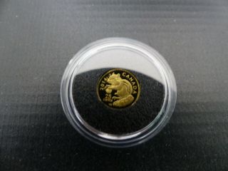 2014 CANADA EASTERN CHIPMUNK 25 CENTS PURE GOLD COIN 2