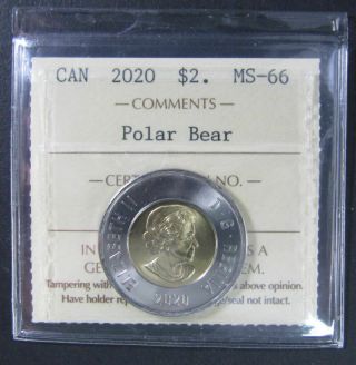 2020 Polar Bear $2 Canada Coin.  Iccs Graded Ms - 66 (toonies)