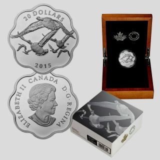 2015 Canada $20 Dollars 9999 Silver Coin Master Of The Sky Canada Goose