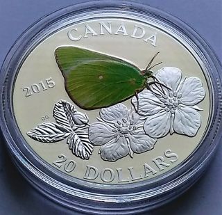 2015 Butterflies Of Canada Colias Gigantea $20 1 Oz.  9999 Silver Proof Coin.
