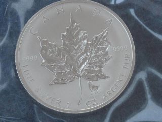 2004 Canada Maple Leaf Aries Zodiac Privy Mark Specimen Reverse Proof Silver