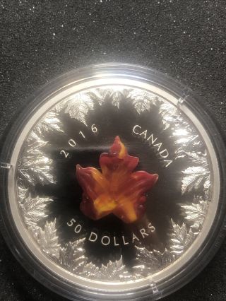 2016 Murano Glass Maple Leaf Autumn Radiance Pure Silver Coin 5oz $50