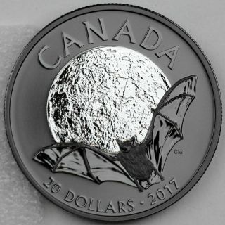2017 Canada $20 Rhodium Plated Little Brown Bat - Nocturnal By Nature 2