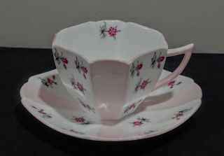 Shelley Queen Ann Tea Cup & Saucer Charm Pattern / Pink Panels