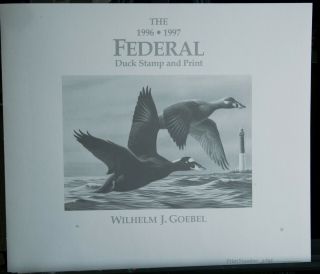 1996 - 1997 Federal Duck Stamp & Print Limited Edition Singed By The Artist