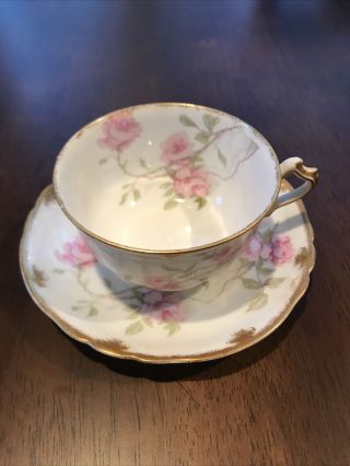 Haviland Limoges Tea Cup & Saucer,  Baltimore Rose,  Sch 1151b Vintage