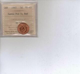 1965 Small Beads Pointed 5 - 1 Cent Graded Canadian Iccs Ms - 65 Red