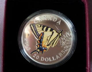 2013 Butterflies Of Canada: Tiger Swallowtail – $20 Fine Silver Coin Q - 0004