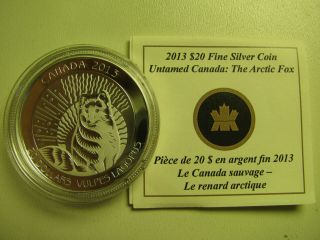 2013 Proof $20 Untamed Canada 1 - Arctic Fox Coin&coa Only.  9999 Silver Twenty Do