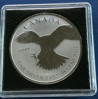 2016 Canada 1 Oz Silver $5 Peregrine Falcon Reverse Proof Coin - Birds Of Prey