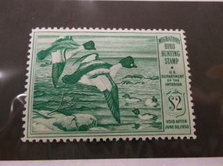 Rw16 Migratory Bird Hunting Stamp Two Dollars Us Dept Of Interior Green 1950