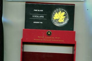Canada 2006 $5 Mapleleaf 1 Ounce Silver Coin Colorized Box 9612n