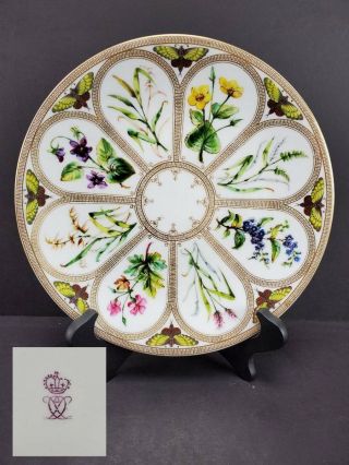 Antique 19th C.  Royal Crown Derby Hand Painted Cabinet Plate,  Butterflies Flower