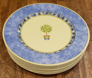 Set Of 8 Royal Doulton Carmina Lemon Tree - - 9 " Salad Plates Plate Set