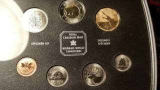 Canada 2004 Specimen Set With Rare Flying Goose Loon Dollar.
