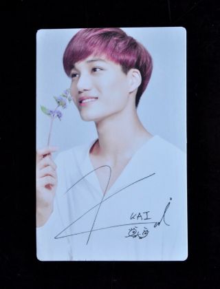 Exo K 엑소 Kai 카이 Jongin 종인 Official Nature Republic Photo Card Ver B 2 Kpop